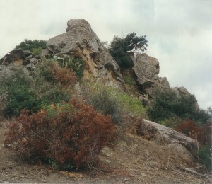 pizzo torretta 